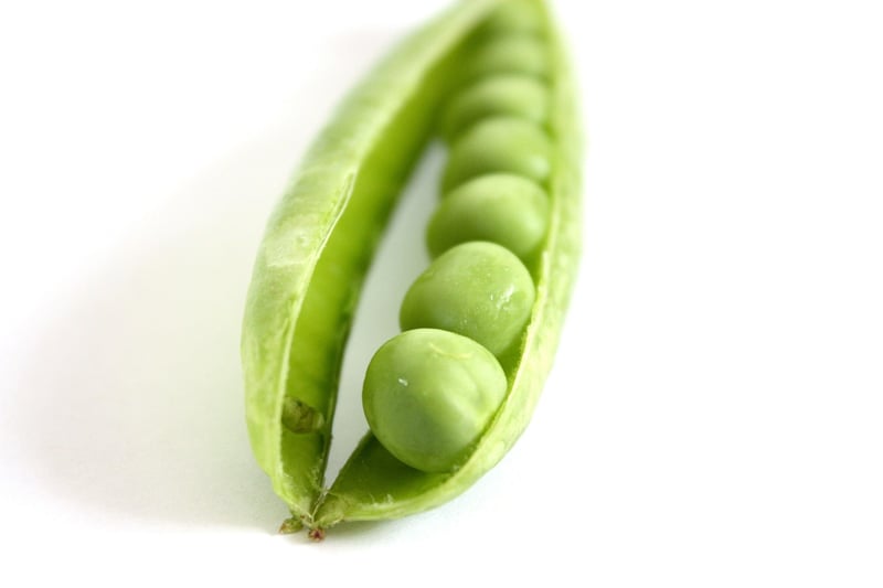 Summer vegetables to grow